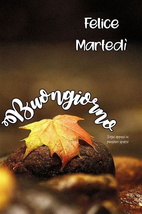 bellissime buon martedì autunnale|frasi bellissime buone martedì.